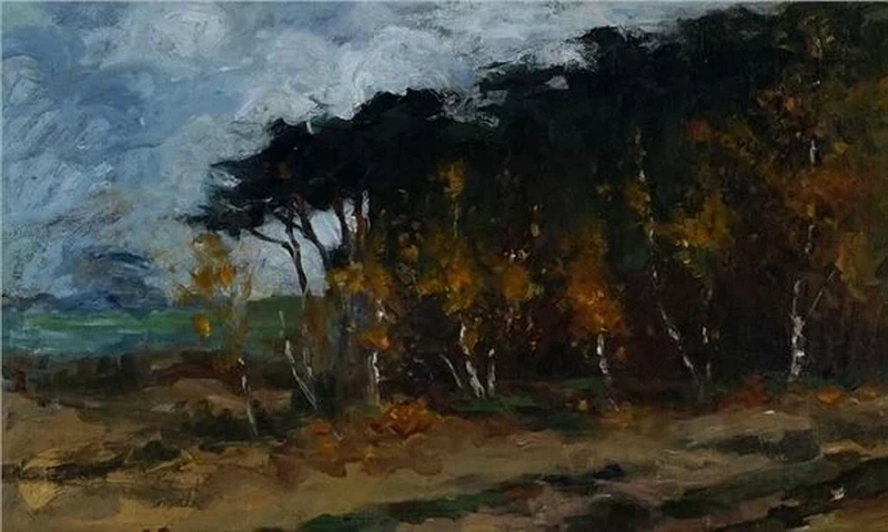 Il bosco
